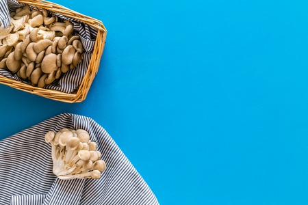 Oyster mushroom. Fresh raw veshenka in basket on blue background top view.の写真素材