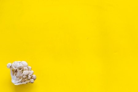 Oyster mushroom. Fresh raw veshenka on yellow background top view.の写真素材