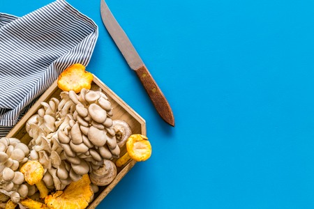 Collect mushroom concept. Champignons, oysters, chanterelles in tray near knife on blue background top view space for textの写真素材
