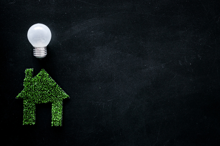 Enegry saving technology concept. House cutout made of green grass near light bulb on black background top view copy spaceの写真素材