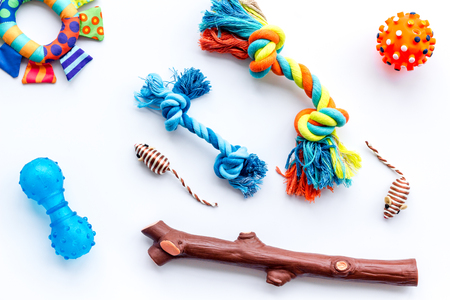 Pet accessories for care and training. Toys on white background top viewの写真素材