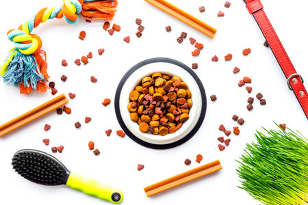 Pet care. Pet food, toys and accessories on white background top view.