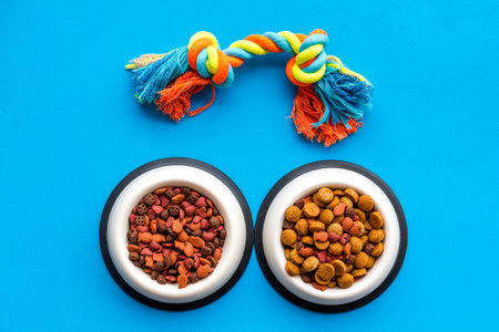 Pets accessories in home. Dog food in bowl and toys on blue background top view.