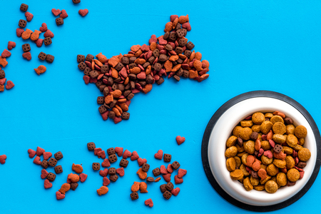 Dog food. Dry food in shape of bone near bowl on blue background top view.の写真素材