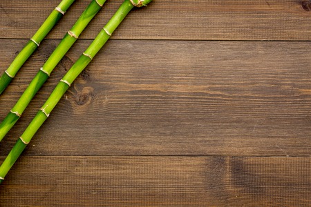 Asian background. Green bamboo branches on dark wooden background top view copy spaceの写真素材