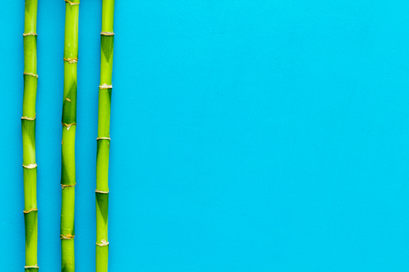 Asian background. Green bamboo branches on blue background top view copy spaceの写真素材
