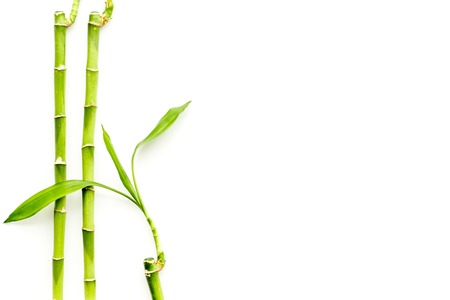 Asian background. Green bamboo branches on white wooden background top view space for textの写真素材