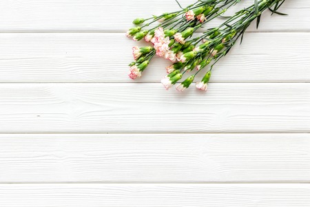 Delicate spring flowers. Small pink carnation on white wooden background top view copy space