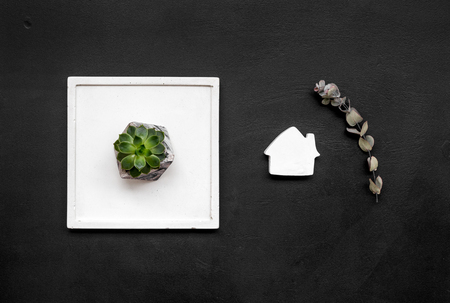 Plant, concrete figures and tray decorations for modern home office on black background flat layの写真素材