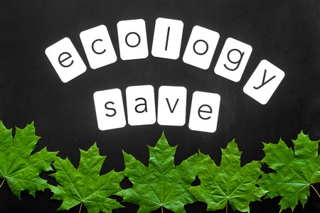 Ecology save concept with maple leave and copy on black background top viewの写真素材