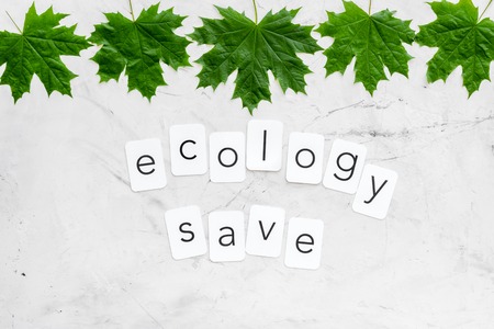 ecology save concept with maple leave on marble background top viewの写真素材