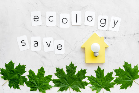 Ecology save copy with green maple leaves, house figure and lamp for eco concept on marble...