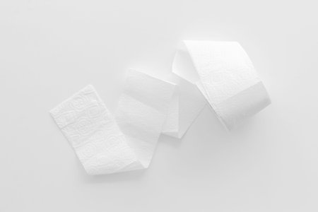 Toilet paper roll on white background top view