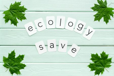 Eco friendly. Green maple leaves and ecology save text for eco concept on mint green wooden background top viewの写真素材