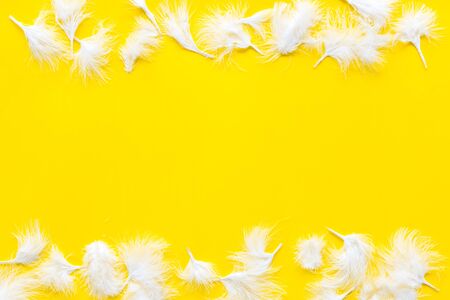 Design for blog or desktop with colorful bird feathers on yellow background top view mockup frame.の写真素材