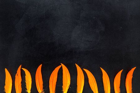 Frame with feathers for modern design on black background top view mock up.の写真素材