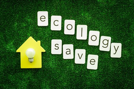 Ecology save text and house with bulb for eco friendly concept on green texture background top view.の写真素材