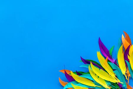 Abstract pattern with bright bird feathers on blue background top view space for text.の写真素材
