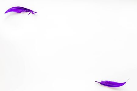 Abstract pattern with bright bird feathers frame on white background top view space for text.の写真素材