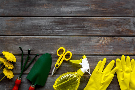 Gardening tools on wooden background top view copyspace