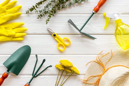 Gardening tools on white wooden background top view pattern