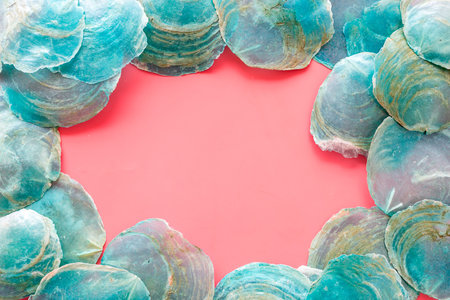 Shells frame on pink background top view copyspace