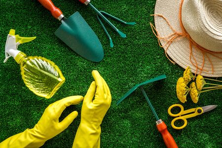 Instruments for gardener on green grass background top view patternの写真素材
