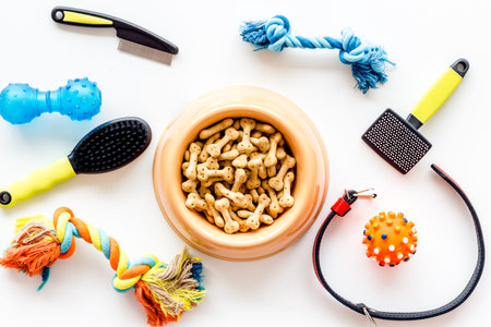 Dog dry food in bowl and toys, grooming tools on white background top view