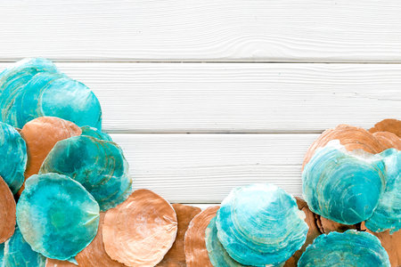 Shells frame on white wooden background top view copy space