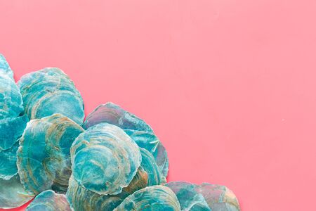 shells pattern for design on pink background top view mockup