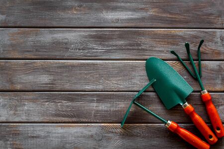 Instruments for gardener on wooden background top view copyspace