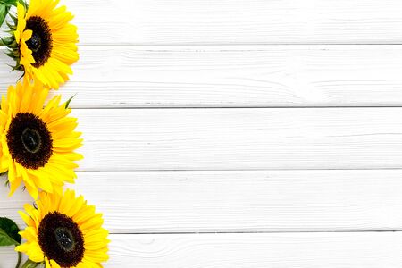 Field flowers design with sunflowers frame on white wooden background top view space for textの写真素材