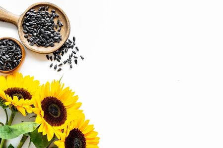 Field flowers design with sunflowers and seeds frame on white background top view space for textの写真素材