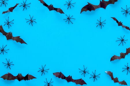 Stylish Halloween design. Bats and spiders on blue background top view.の写真素材