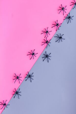 Halloween decoration with spiders on pink and blue background top view.の写真素材