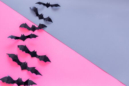 Halloween design. Bats on pink and blue background top view space for textの写真素材