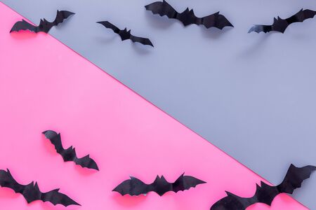 Bats cutout on Halloween frame on pink and blue table top view space for textの写真素材