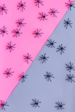 Minimalistic Halloween background with small spiders on pink and blue table top viewの写真素材