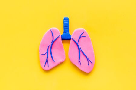 Lung health and diseases. Organ on yellow background top view space for textの写真素材