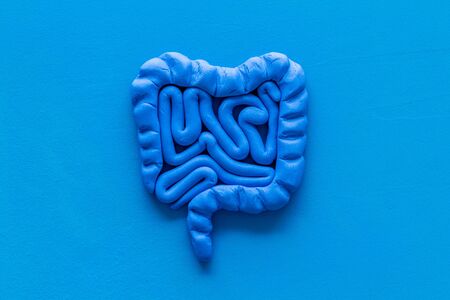 Intestines health. Guts on blue background top view.の写真素材