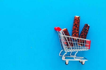 Buy food for hamsters. Con ear in shopping chart on blue background top view.の写真素材