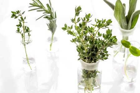 Healing herbs in glasses on white backgroundの写真素材