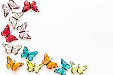 Multicolored tropical butterflies on white background top-down frame copy spaceの写真素材