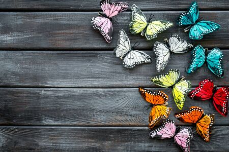 Multicolored tropical butterflies on dark wooden background top-down frame.の写真素材