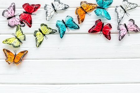 Butterfly - colorful and bright set - on white wooden background top-down.の写真素材