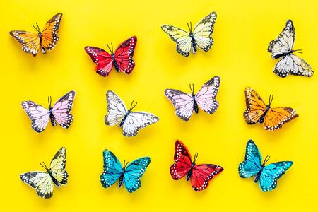 Multicolored tropical butterflies on yellow background top-down patternの写真素材