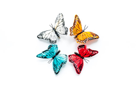 Beautiful tropical butterfly on white background top-down.