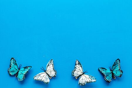 Butterfly - colorful and bright set - on blue background top-down frame.の写真素材