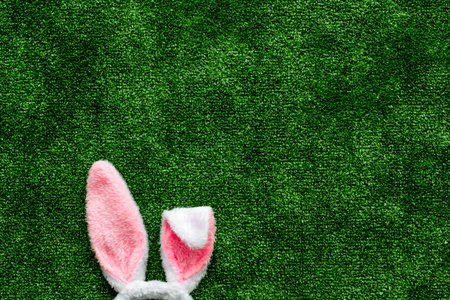 Easter bunny's ears on green grass background top-down.