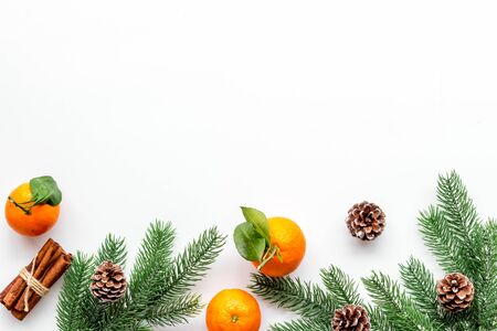 Tangerines near fir branches. New Year composition on white background top-down.の写真素材